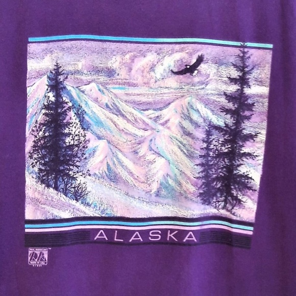 Vintage Other - Alaskan Vintage Purple Graphic T Shirt Jerzees 1991 Glitter Mountain Eagle XL